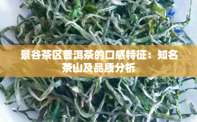 景谷茶区普洱茶的口感特征：知名茶山及品质分析