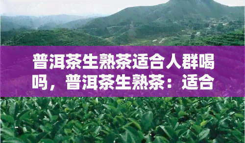 普洱茶生熟茶适合人群喝吗，普洱茶生熟茶：适合哪些人群饮用？