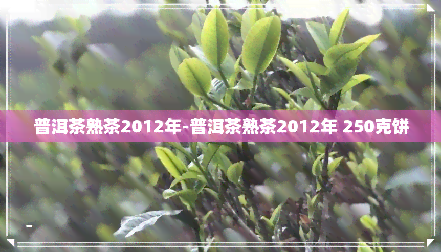 普洱茶熟茶2012年-普洱茶熟茶2012年 250克饼