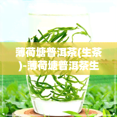 薄荷塘普洱茶(生茶)-薄荷塘普洱茶生茶价格