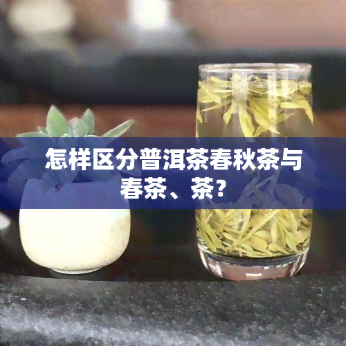 怎样区分普洱茶春秋茶与春茶、茶？