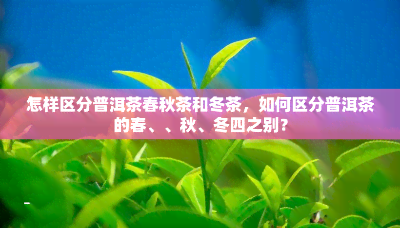 怎样区分普洱茶春秋茶和冬茶，如何区分普洱茶的春、、秋、冬四之别？