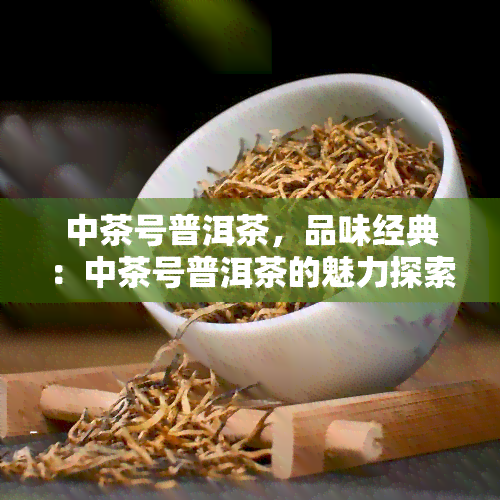 中茶号普洱茶，品味经典：中茶号普洱茶的魅力探索