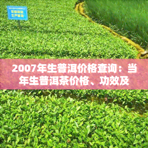 2007年生普洱价格查询：当年生普洱茶价格、功效及熟茶价格对比，现在价值多少？