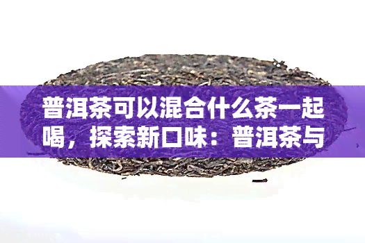 普洱茶可以混合什么茶一起喝，探索新口味：普洱茶与其它茶叶的完美混搭