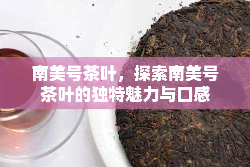 南美号茶叶，探索南美号茶叶的独特魅力与口感