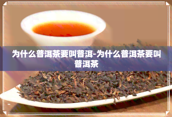 为什么普洱茶要叫普洱-为什么普洱茶要叫普洱茶