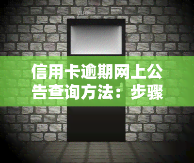 信用卡逾期网上公告查询方法：步骤、流程及注意事全解析