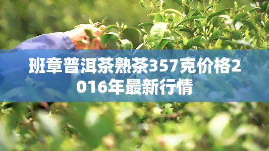 班章普洱茶熟茶357克价格2016年最新行情