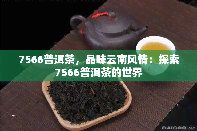 7566普洱茶，品味云南风情：探索7566普洱茶的世界