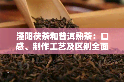 泾阳茯茶和普洱熟茶：口感、制作工艺及区别全面解析