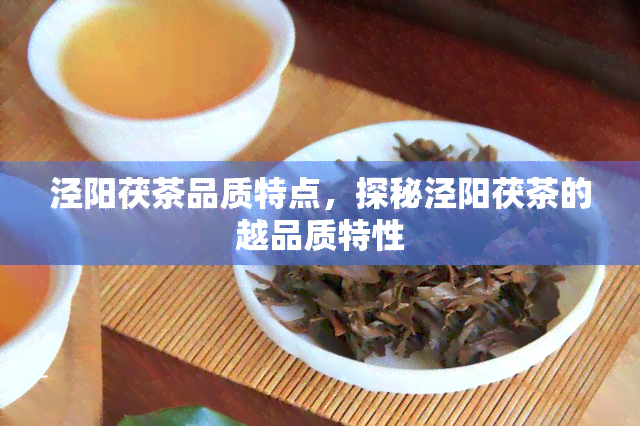 泾阳茯茶品质特点，探秘泾阳茯茶的越品质特性