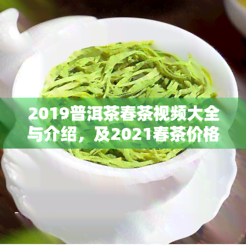 2019普洱茶春茶视频大全与介绍，及2021春茶价格，一应俱全！