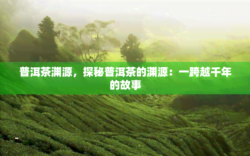 普洱茶渊源，探秘普洱茶的渊源：一跨越千年的故事