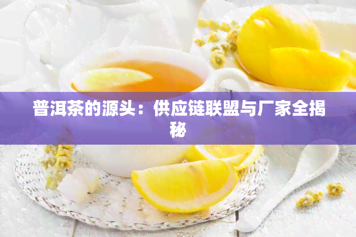 普洱茶的源头：供应链联盟与厂家全揭秘