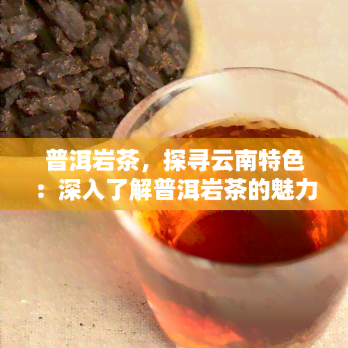 普洱岩茶，探寻云南特色：深入了解普洱岩茶的魅力