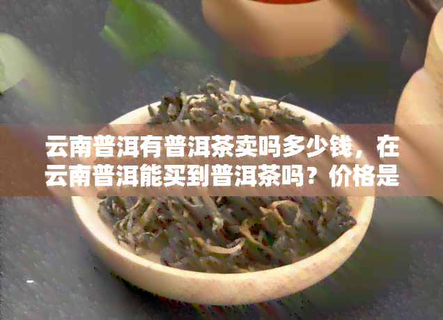 云南普洱有普洱茶卖吗多少钱，在云南普洱能买到普洱茶吗？价格是多少？