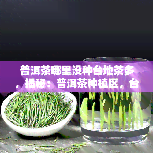 普洱茶哪里没种台地茶多，揭秘：普洱茶种植区，台地茶为何如此普遍？