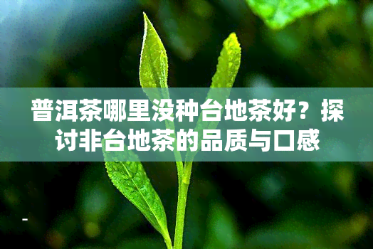 普洱茶哪里没种台地茶好？探讨非台地茶的品质与口感