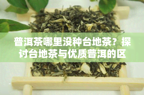 普洱茶哪里没种台地茶？探讨台地茶与优质普洱的区别与选择