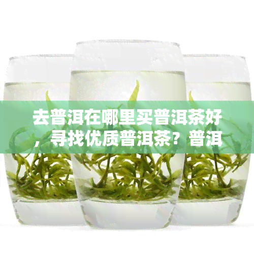 去普洱在哪里买普洱茶好，寻找优质普洱茶？普洱哪里买？