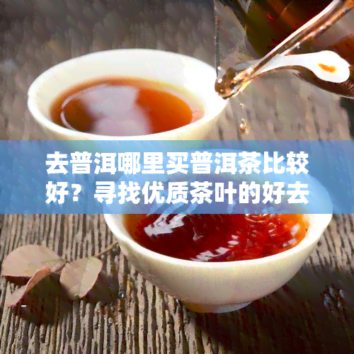 去普洱哪里买普洱茶比较好？寻找优质茶叶的好去处！