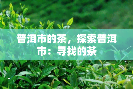 普洱市的茶，探索普洱市：寻找的茶