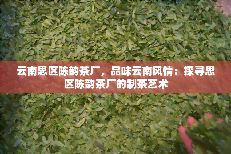 云南思区陈韵茶厂，品味云南风情：探寻思区陈韵茶厂的制茶艺术