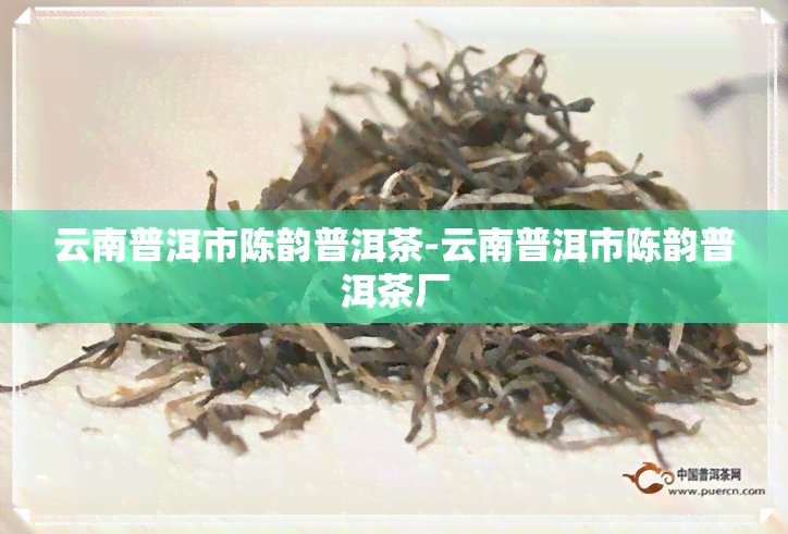 云南普洱市陈韵普洱茶-云南普洱市陈韵普洱茶厂