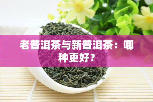 老普洱茶与新普洱茶：哪种更好？