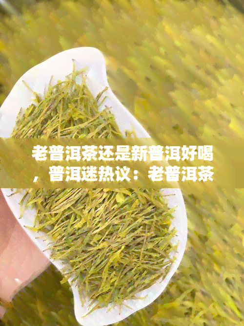 老普洱茶还是新普洱好喝，普洱迷热议：老普洱茶与新普洱哪个更好喝？