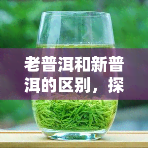 老普洱和新普洱的区别，探究老普洱与新普洱的差异：一场味蕾的较量