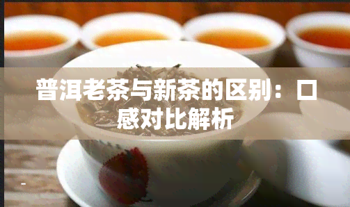 普洱老茶与新茶的区别：口感对比解析