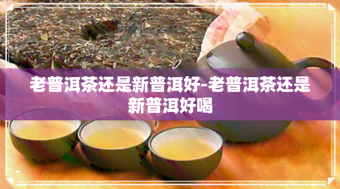 老普洱茶还是新普洱好-老普洱茶还是新普洱好喝