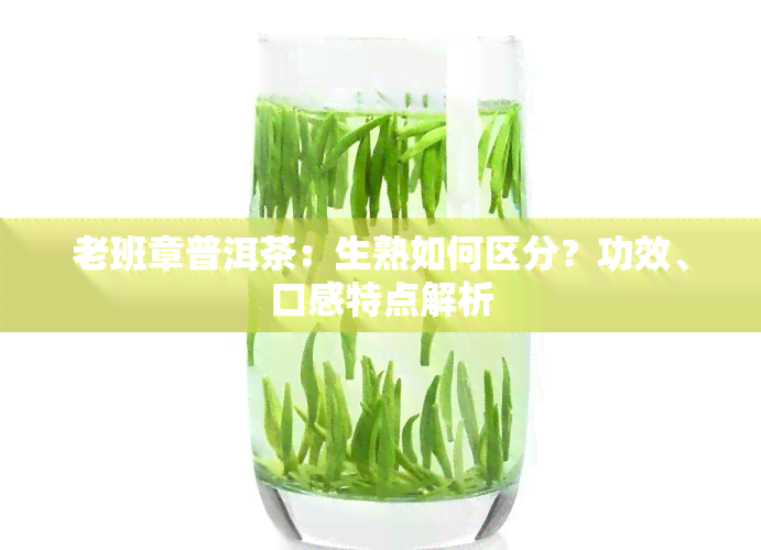 老班章普洱茶：生熟如何区分？功效、口感特点解析