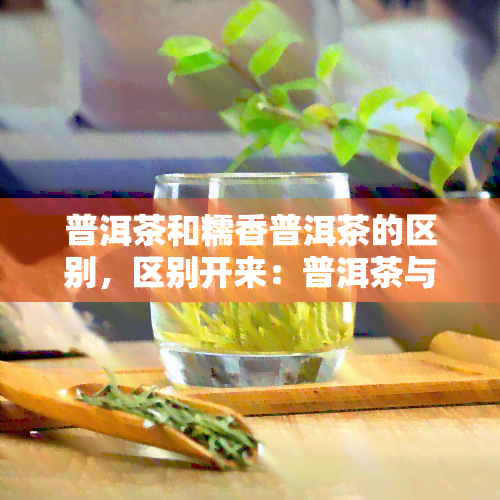 普洱茶和糯香普洱茶的区别，区别开来：普洱茶与糯香普洱茶的差异