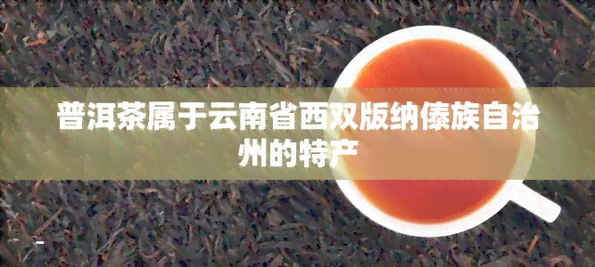 普洱茶属于云南省西双版纳傣族自治州的特产