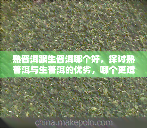 熟普洱跟生普洱哪个好，探讨熟普洱与生普洱的优劣，哪个更适合你？