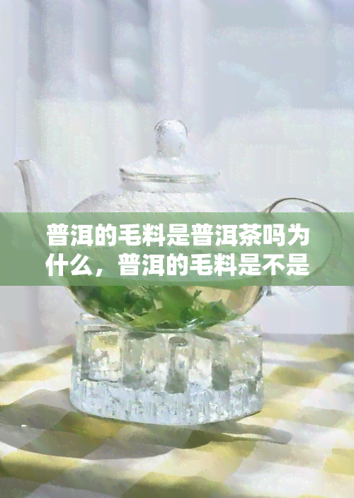 普洱的毛料是普洱茶吗为什么，普洱的毛料是不是普洱茶？原因解析