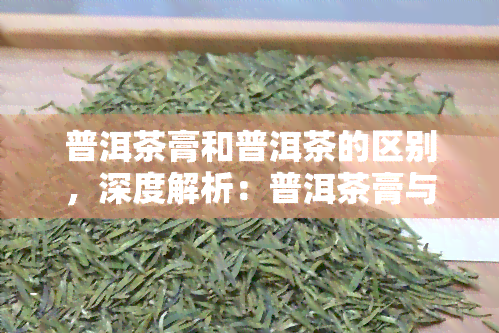 普洱茶膏和普洱茶的区别，深度解析：普洱茶膏与普洱茶的五大区别！