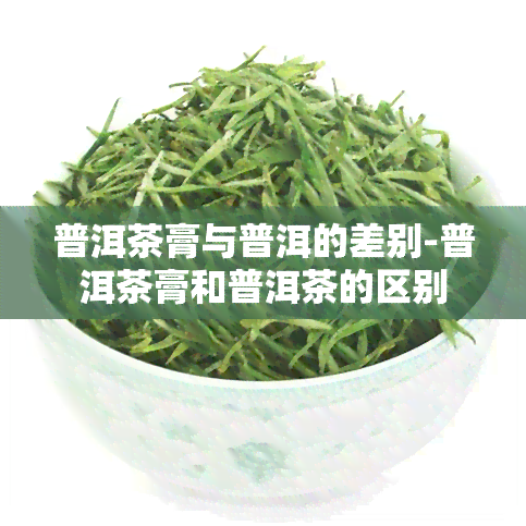 普洱茶膏与普洱的差别-普洱茶膏和普洱茶的区别