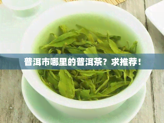 普洱市哪里的普洱茶？求推荐！