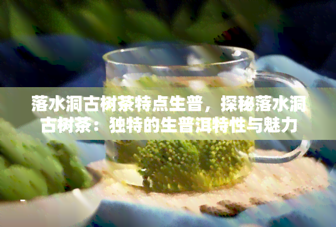 落水洞古树茶特点生普，探秘落水洞古树茶：独特的生普洱特性与魅力