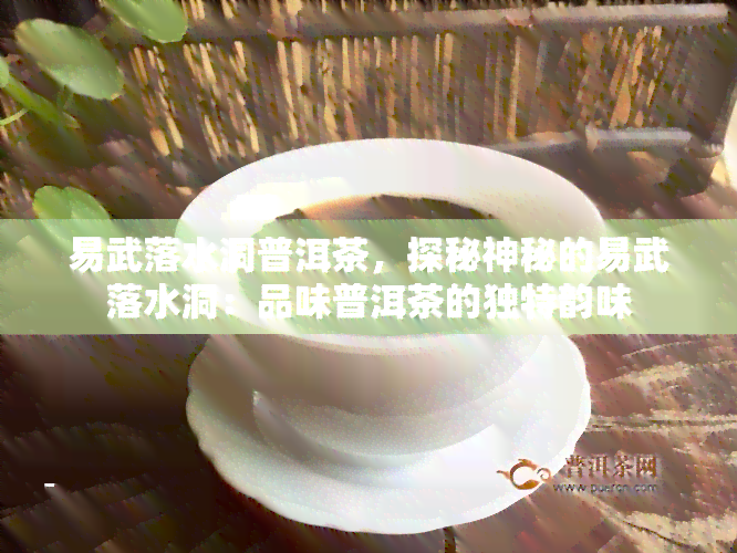 易武落水洞普洱茶，探秘神秘的易武落水洞：品味普洱茶的独特韵味