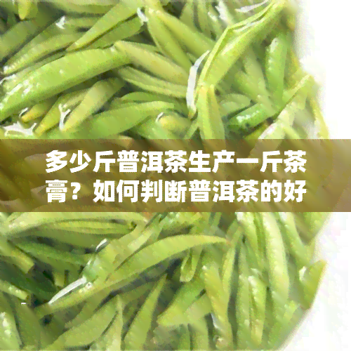 多少斤普洱茶生产一斤茶膏？如何判断普洱茶的好坏与价格？