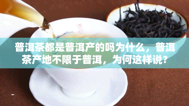 普洱茶都是普洱产的吗为什么，普洱茶产地不限于普洱，为何这样说？