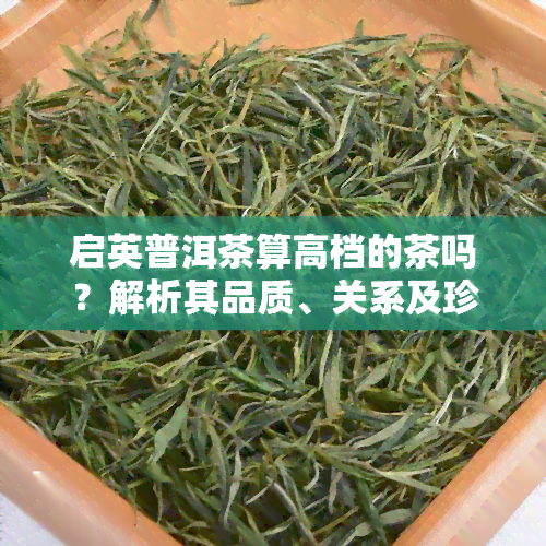 启英普洱茶算高档的茶吗？解析其品质、关系及珍藏品价值，探讨7581价格