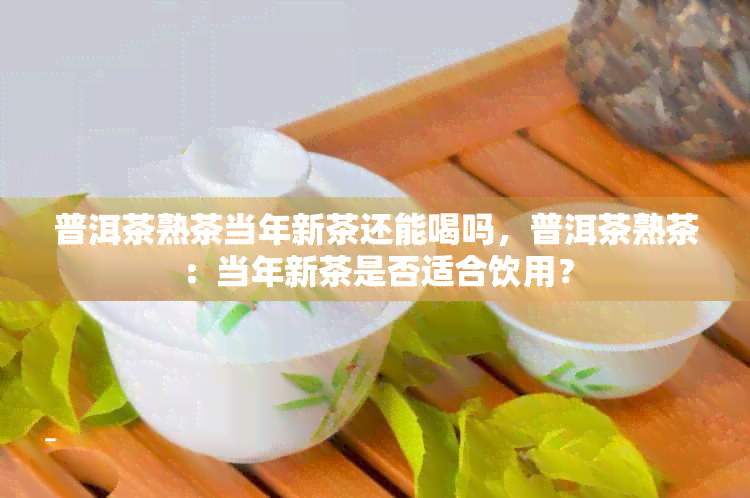 普洱茶熟茶当年新茶还能喝吗，普洱茶熟茶：当年新茶是否适合饮用？