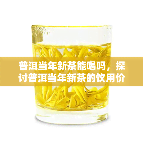 普洱当年新茶能喝吗，探讨普洱当年新茶的饮用价值与注意事