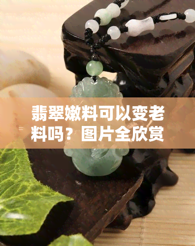 翡翠嫩料可以变老料吗？图片全欣赏和视频解析